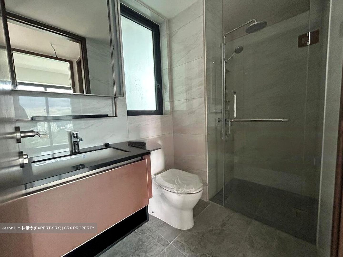Normanton Park (D5), Apartment #587783511